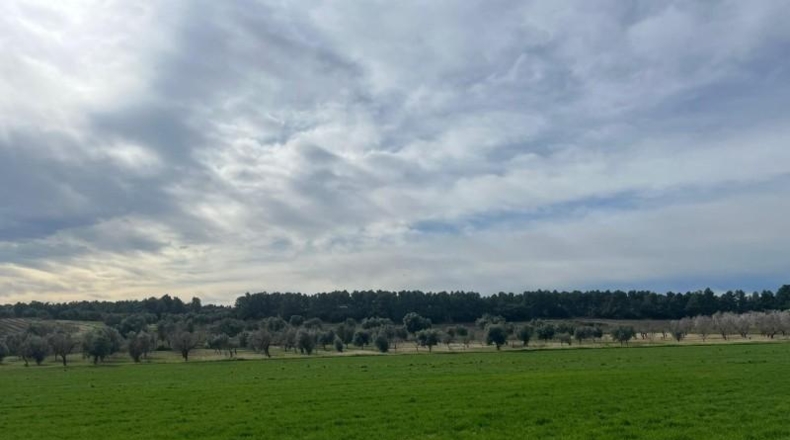 Teruel - Calaceit - 12m2