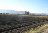 Xalet independent amb terreny en venda a la España, la Ràpita, ref.: TR400373 foto