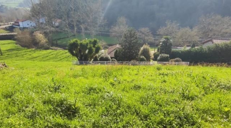 Cantabria - Borleña - 629m2