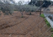 Land suitable for development for sale on España, Cehegín, ref: TR391806 photo