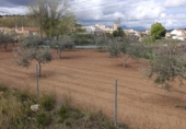 Land suitable for development for sale on España, Cehegín, ref: TR391806 photo