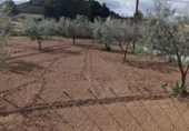 Land suitable for development for sale on España, Cehegín, ref: TR391806 photo