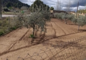 Land suitable for development for sale on España, Cehegín, ref: TR391806 photo