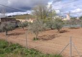 Land suitable for development for sale on España, Cehegín, ref: TR391806 photo