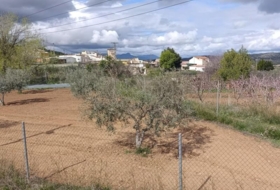 Foto 9