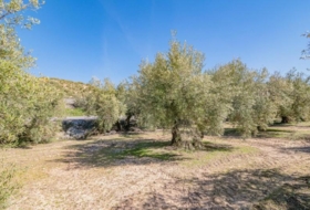 Deifontes 3215&nbsp;м²