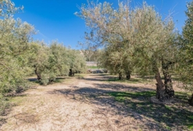 Deifontes 3215&nbsp;м²