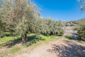 Deifontes 3215&nbsp;м²