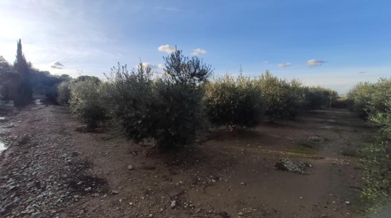 Tarragona - Amposta - 3340m2
