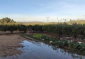 Chalet independiente con terreno en venta en la España, Amposta, ref: TR400376 foto