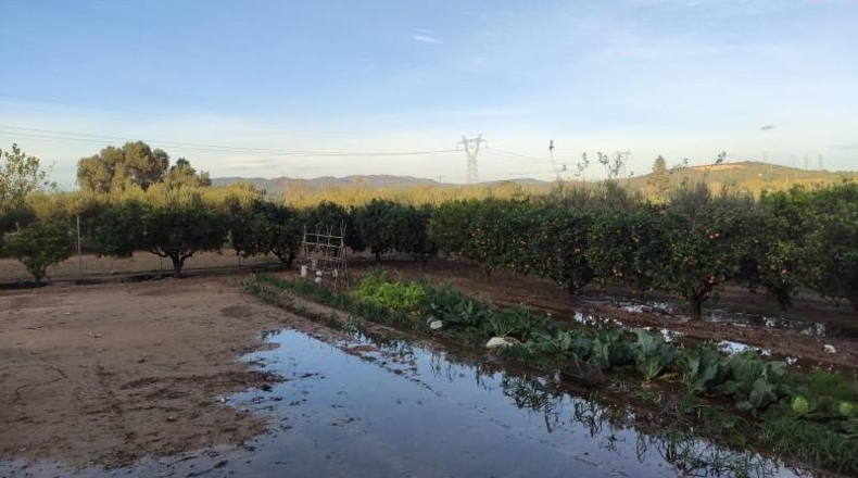 Tarragona - Amposta - 3340m2