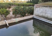Chalet independiente con terreno en venta en la España, Amposta, ref: TR400376 foto
