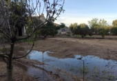 Chalet independiente con terreno en venta en la España, Amposta, ref: TR400376 foto