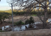 Chalet independiente con terreno en venta en la España, Amposta, ref: TR400376 foto