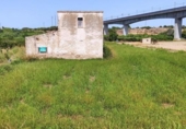 Terreno no urbanizable en venta en la España, Amposta, ref: TR392547 foto