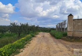 Almonte 33362&nbsp;m²