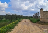 Non-developable land for sale on España, Almonte, ref: TR399814 photo