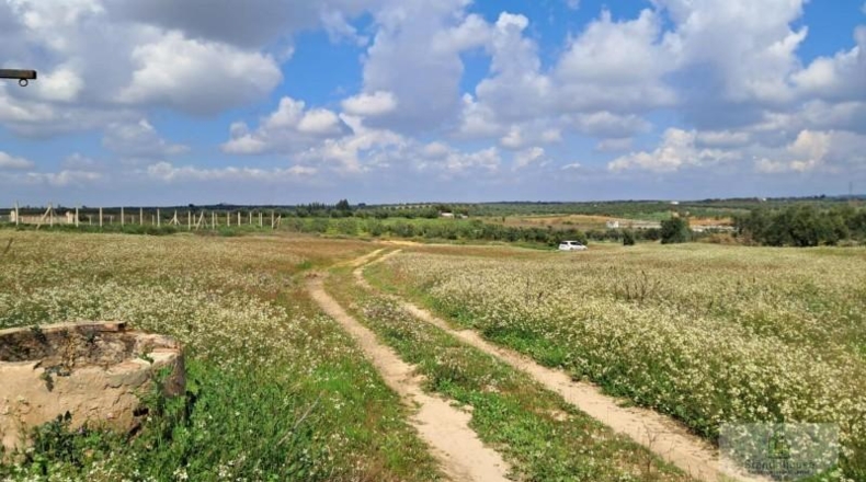 Huelva - Almonte - 33362m2