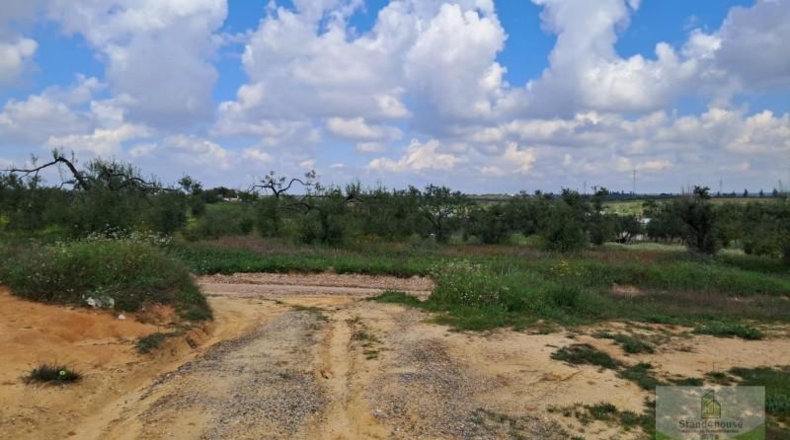 Huelva - Almonte - 33362m2