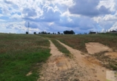 Non-developable land for sale on España, Almonte, ref: TR399814 photo