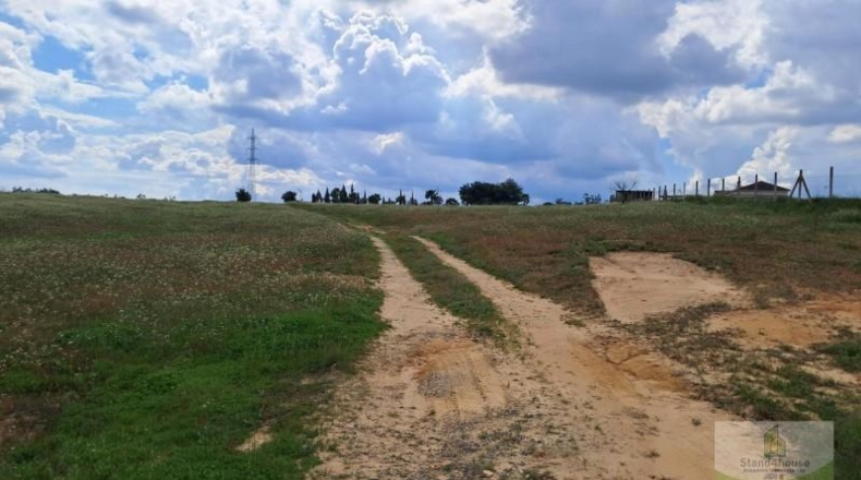 Huelva - Almonte - 33362m2