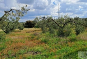 Almonte 33362&nbsp;m²