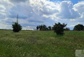 Almonte 33362&nbsp;m²
