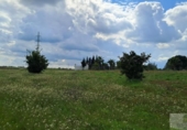 Non-developable land for sale on España, Almonte, ref: TR399814 photo