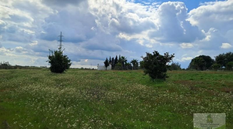 Huelva - Almonte - 33362m2