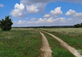 Non-developable land for sale on España, Almonte, ref: TR399814 photo