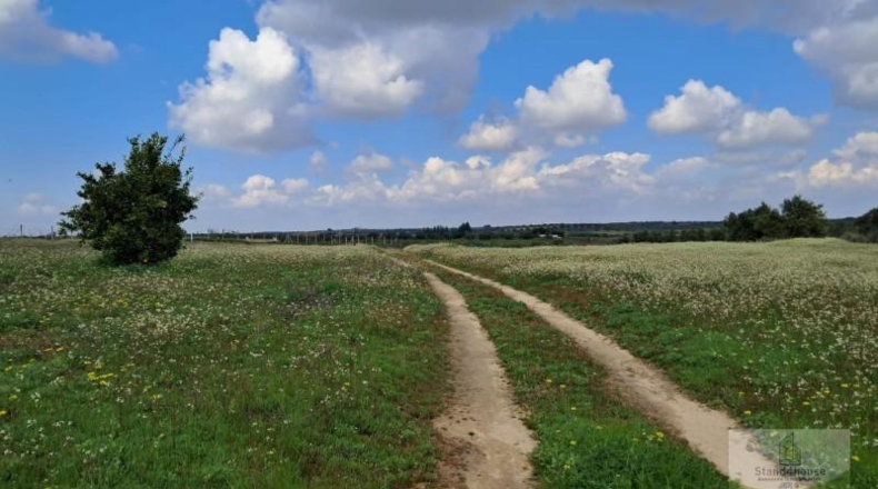 Huelva - Almonte - 33362m2