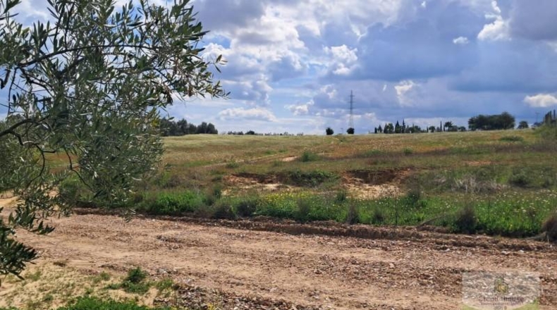 Huelva - Almonte - 33362m2