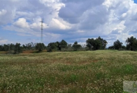 Almonte 33362&nbsp;m²