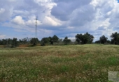 Non-developable land for sale on España, Almonte, ref: TR399814 photo