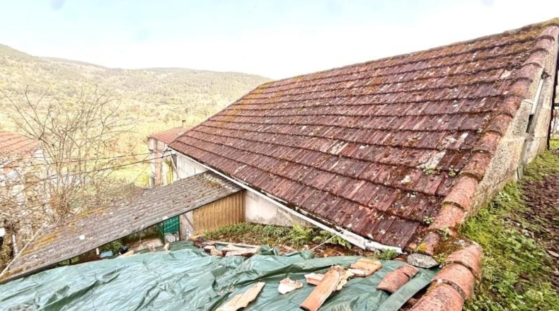 Orense - Borraxos - 250m2