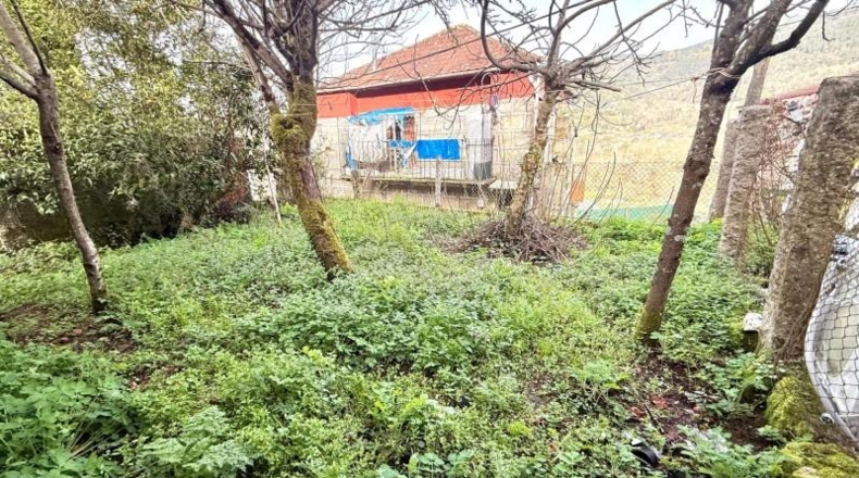 Orense - Borraxos - 250m2