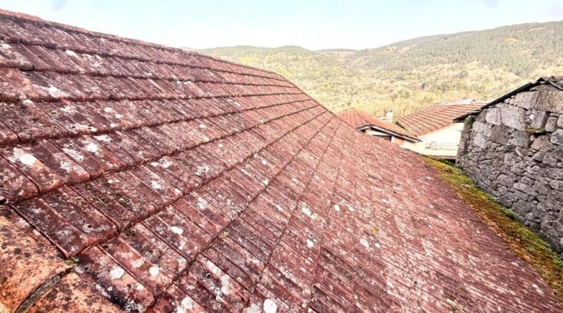 Orense - Borraxos - 250m2