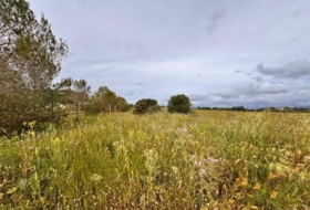 Santa Eugènia 2116&nbsp;m²