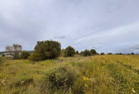 Santa Eugènia 2116&nbsp;m²