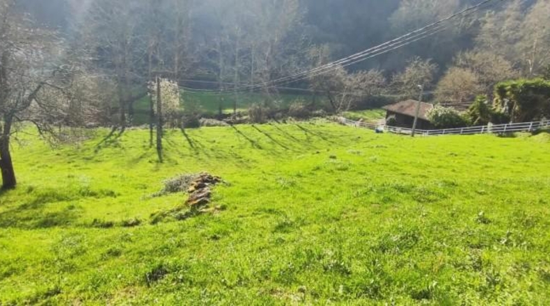 Cantabria - Borleña - 1148m2