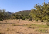 Terreno no urbanizable en venta en la España, Chiva, ref: TR392297 foto