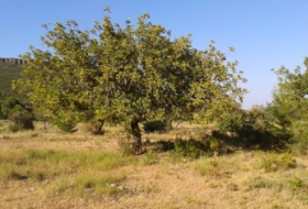 Xiva 21000&nbsp;m² 