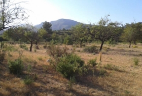 Xiva 21000&nbsp;m² 