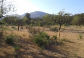 Terreno no urbanizable en venta en la España, Chiva, ref: TR392297 foto
