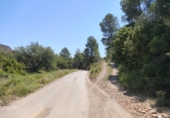 Terreno no urbanizable en venta en la España, Chiva, ref: TR392297 foto