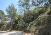 Terreno no urbanizable en venta en la España, Chiva, ref: TR392297 foto