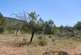 Xiva 21000&nbsp;m² 