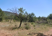 Terreno no urbanizable en venta en la España, Chiva, ref: TR392297 foto