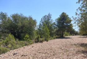 Xiva 21000&nbsp;m² 