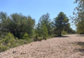 Terreno no urbanizable en venta en la España, Chiva, ref: TR392297 foto